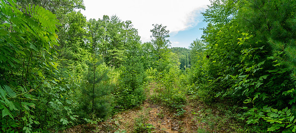 DSC09839-Pano