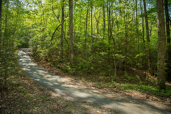 IMG_2896-HDR