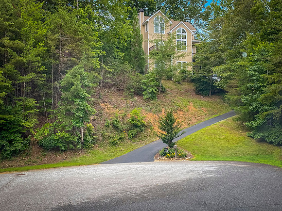 IMG_1684