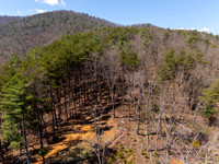 DJI_20260323144944_0603_D