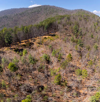 DJI_20260323145135_0615_D-Pano