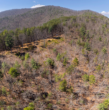 DJI_20260323145135_0615_D-Pano