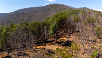 DJI_20260323144958_0605_D-Pano