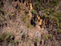 DJI_20260323145321_0629_D