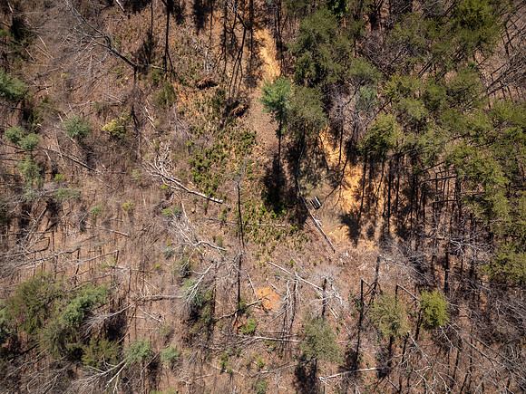 DJI_20260323145321_0629_D