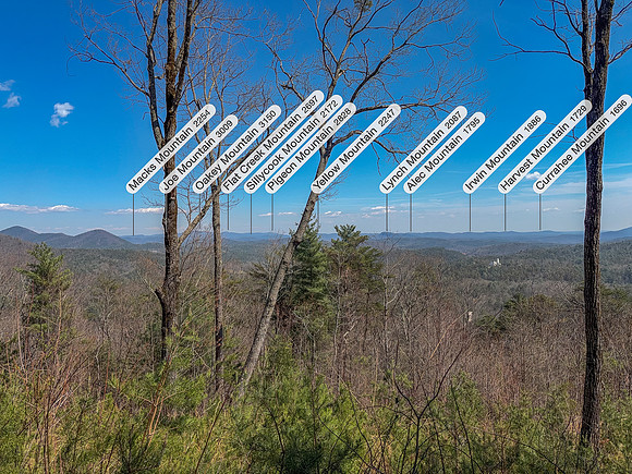 IMG_3360