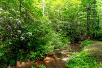 DSC09777