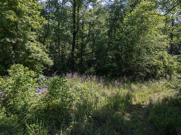 DJI_20260529111424_0151_D