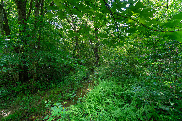DSC00750