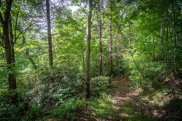 DSC05380-HDR