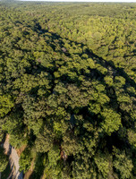 DJI_20260818183254_0455_D-Pano