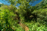 DSC02445