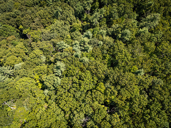 DJI_20260904135619_0608_D