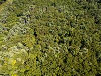 DJI_20260904135739_0614_D