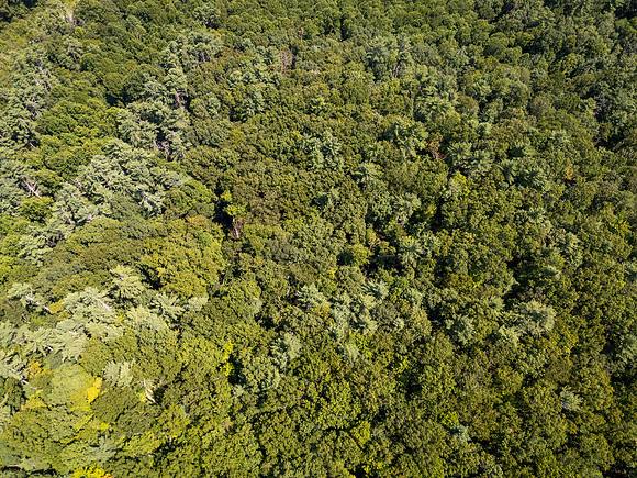 DJI_20260904135739_0614_D