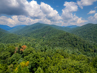 DJI_20260904135525_0607_D