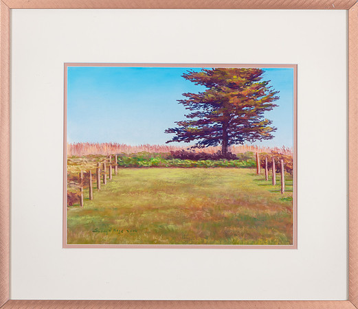 DSC_0728
