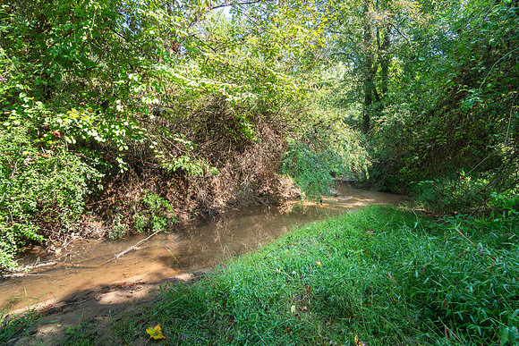 DSC06962
