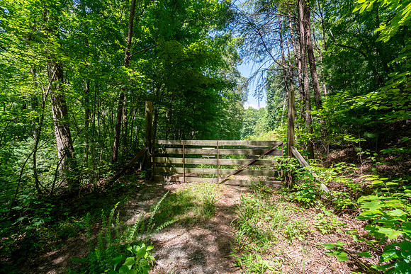 DSC08862-HDR