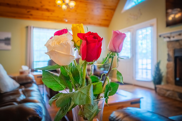 DSC06689-HDR