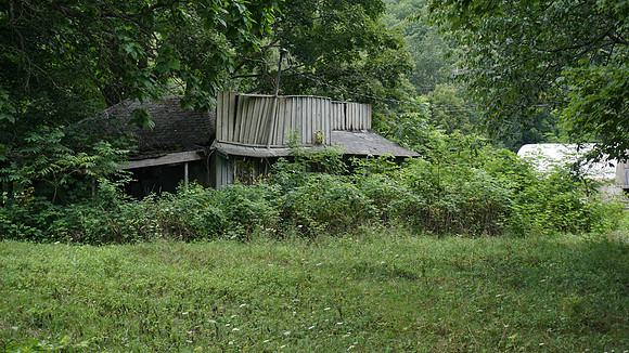 DSC00528