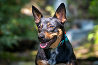 DSC07807