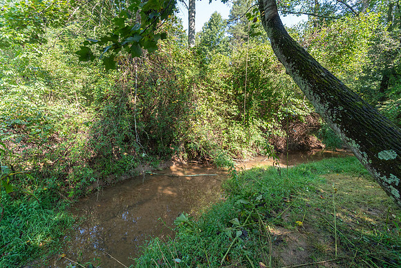DSC06959