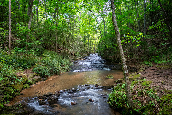 DSC05352-HDR