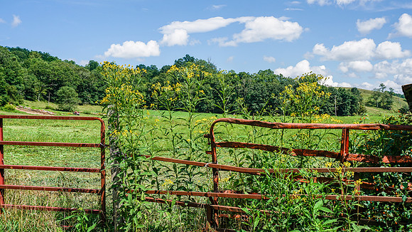 DSC00349-HDR