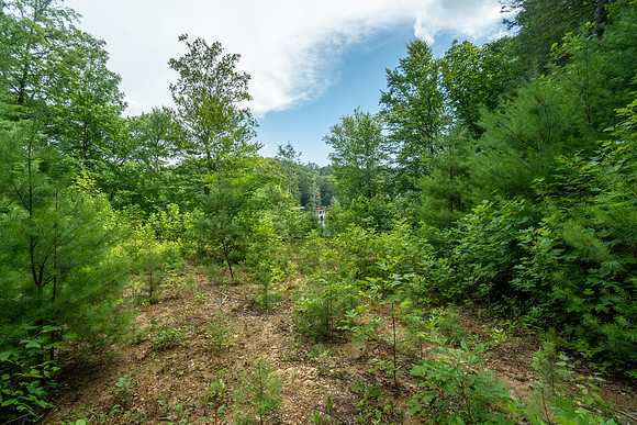 DSC09858-HDR