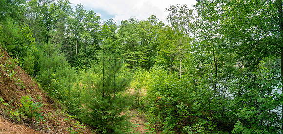DSC09924-Pano