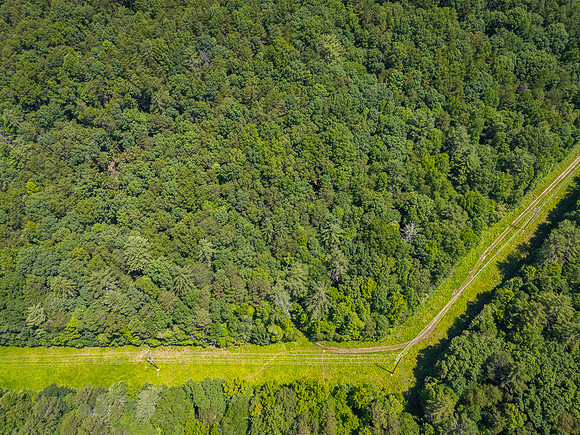 DJI_20240622123629_0104_D