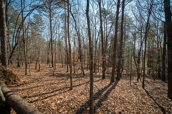 DSC09452