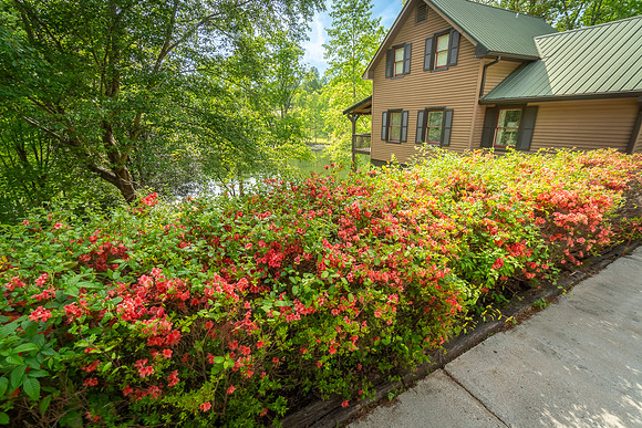 DSC04492-HDR