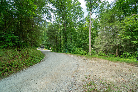DSC09964