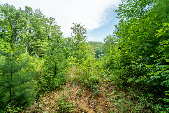 DSC09838-HDR